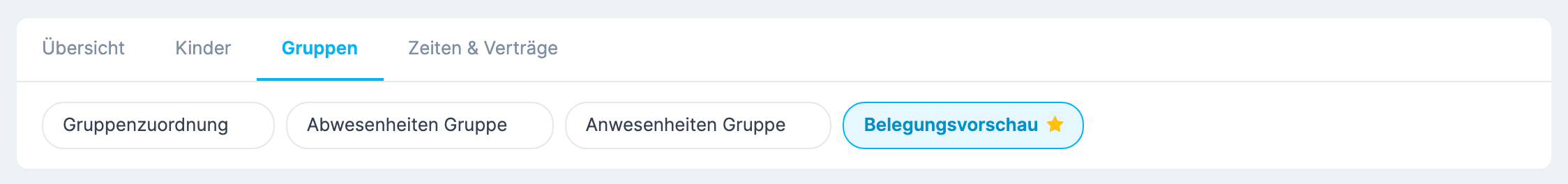 Reiter Daten & Berichte , Kategorie Gruppen , am Bericht Belegungsvorschau ein gelber Stern