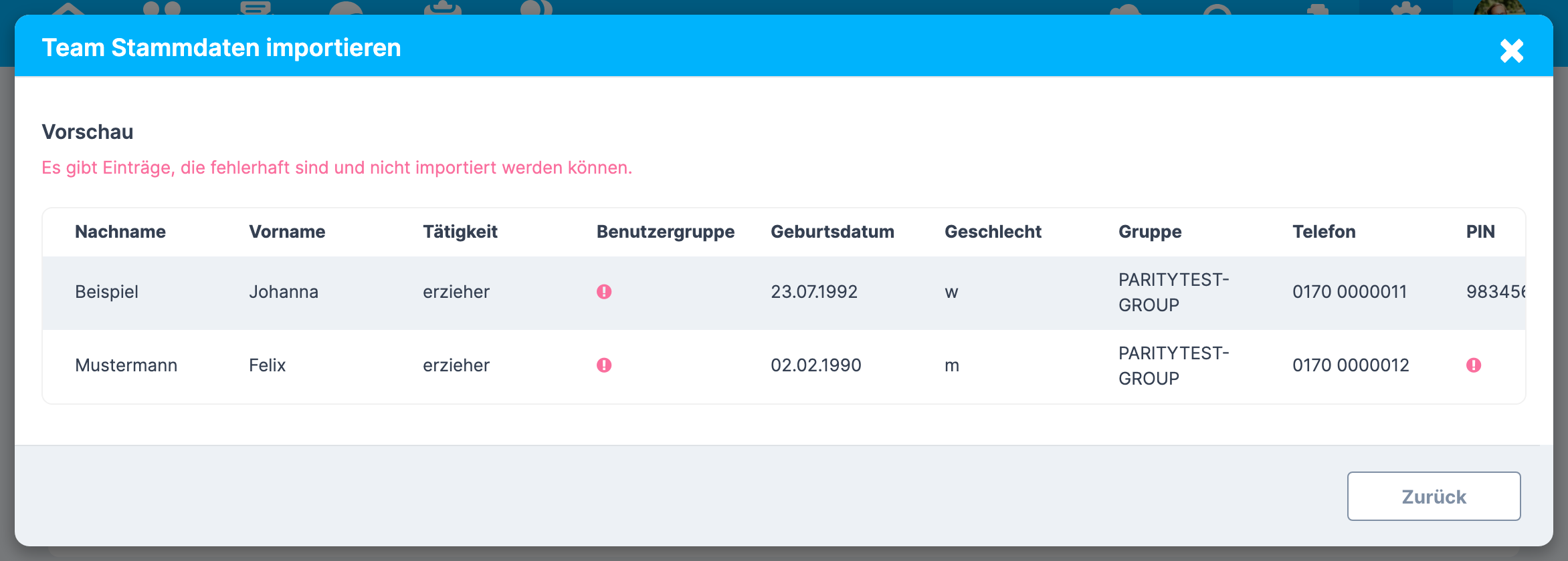 Vorschau des Imports mit den Spalten und den Hinweissymbolen